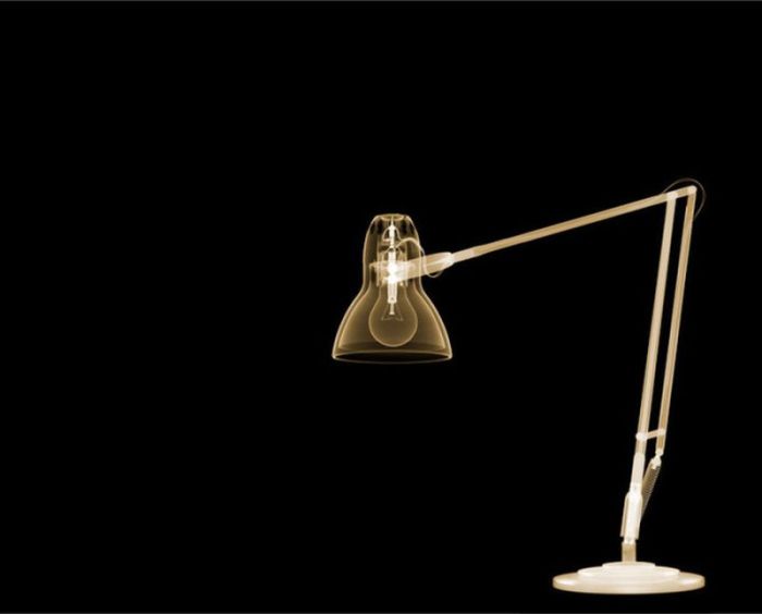 X-ray by Nick Veasey (56 pics)