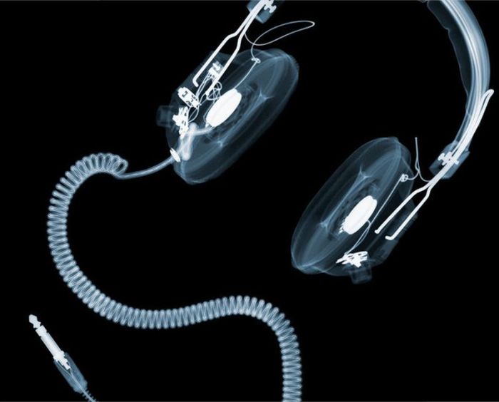 X-ray by Nick Veasey (56 pics)