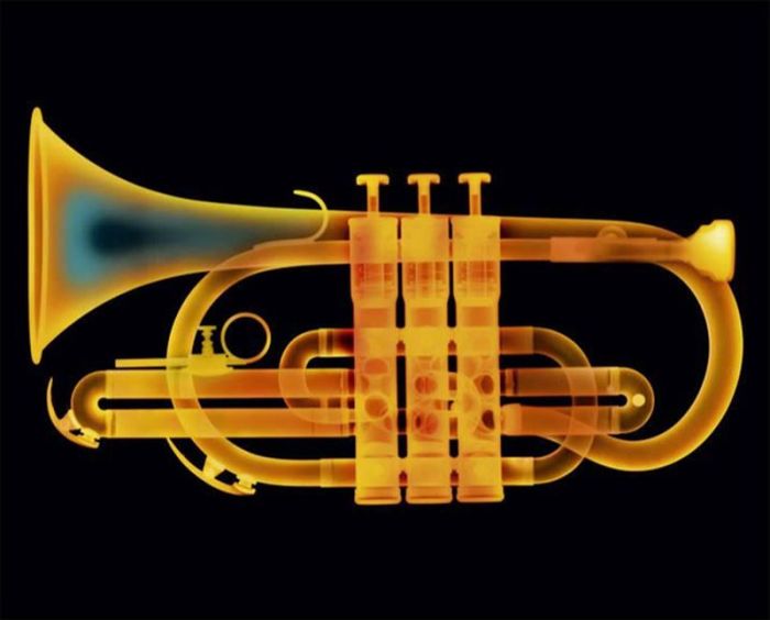 X-ray by Nick Veasey (56 pics)