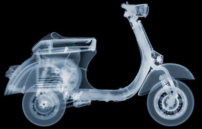 X-ray by Nick Veasey (56 pics)