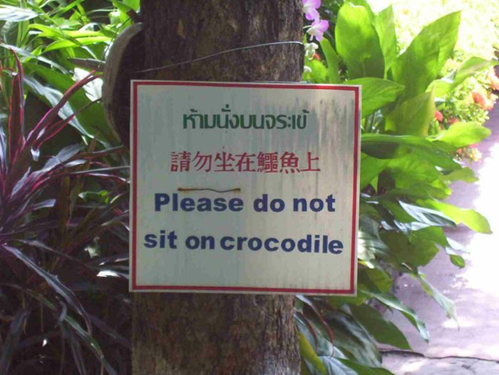 Pieces Of Advice (30 pics)