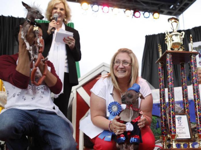 The World's Ugliest Dog 2012 (16 pics)