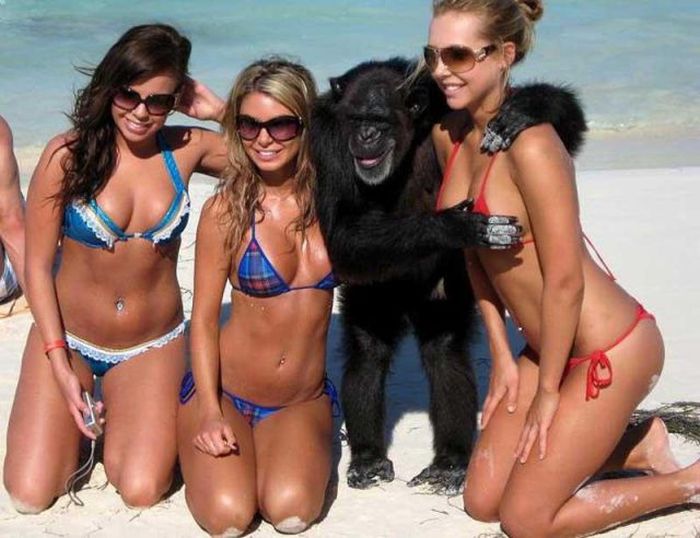 Funny Photos of Bikini Girls (59 pics)