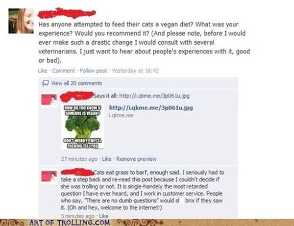 Art of Trolling. Part 4 (55 pics)
