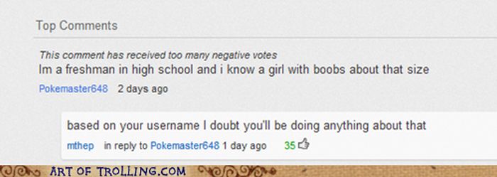 Art of Trolling. Part 4 (55 pics)