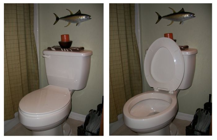 While My Wife Was Away (7 pics)