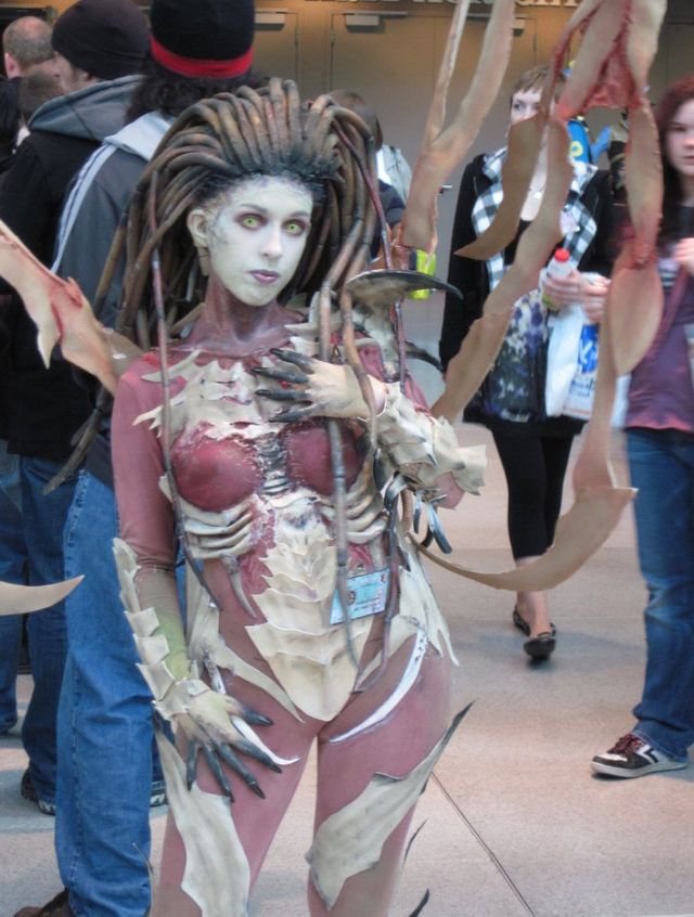 Awesome StarCraft 2 and Diablo III Cosplay (73 pics)