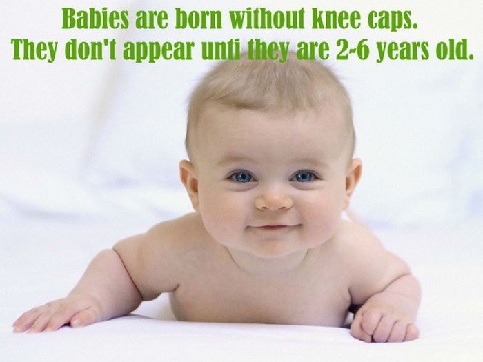 Unbelievable Facts That Are True (14 pics)