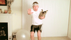Cat Workout at Home (8 gifs)
