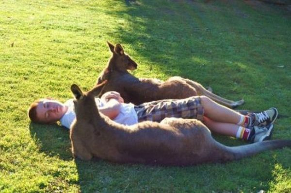 WTF Pictures (55 pics)