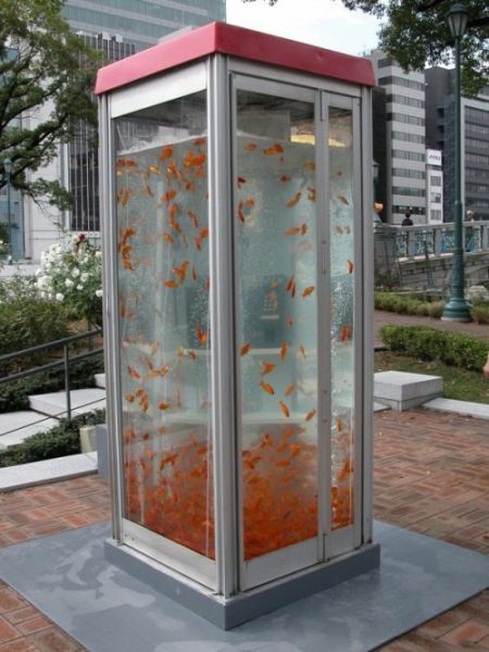 WTF Pictures (55 pics)