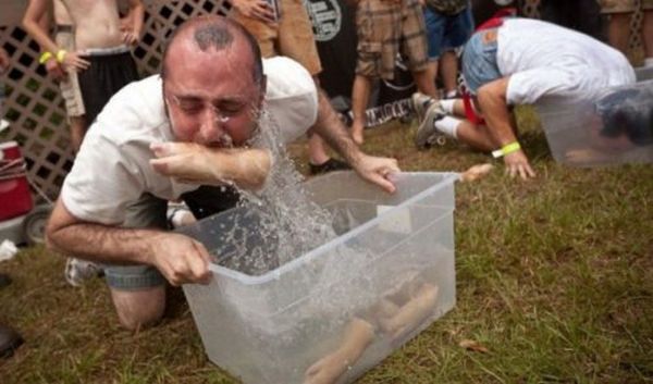 WTF Pictures (55 pics)
