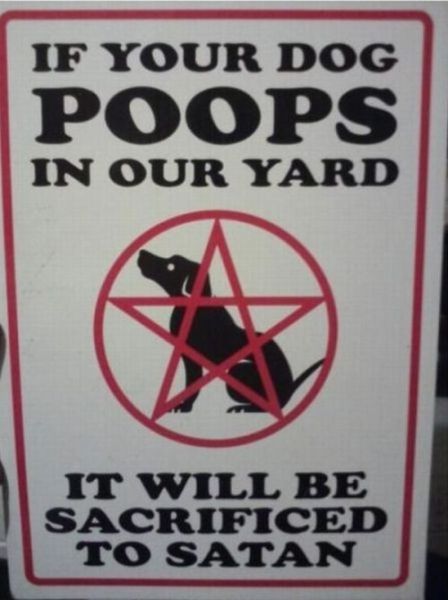 WTF Pictures (55 pics)