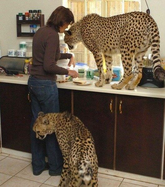 WTF Pictures (55 pics)