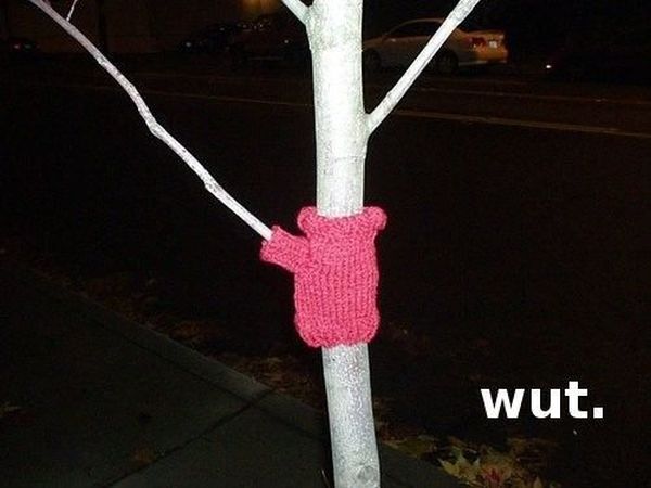 WTF Pictures (55 pics)