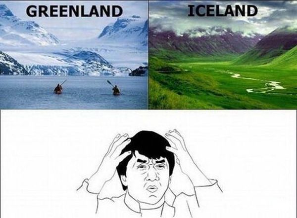 WTF Pictures (55 pics)