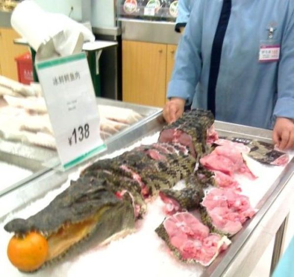 WTF Pictures (55 pics)