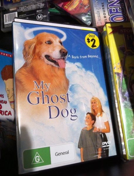 WTF Pictures (55 pics)