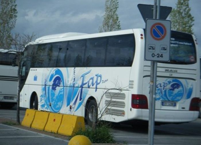 WTF Pictures (55 pics)