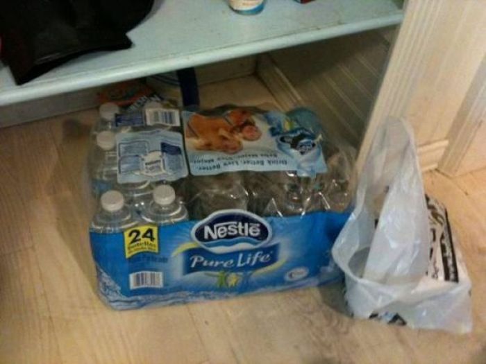 WTF Pictures (55 pics)
