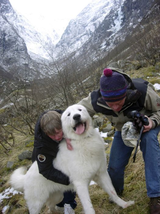 Faces Of Pure Joy (40 pics)