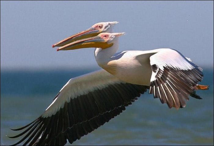 At the Right Moment. Part 15 (31 pics)