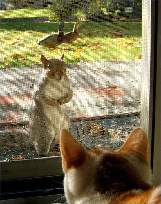 At the Right Moment. Part 15 (31 pics)