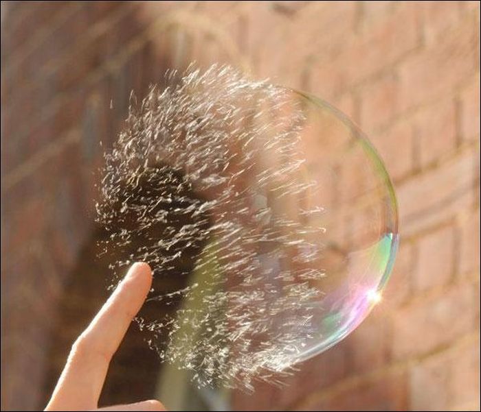 At the Right Moment. Part 15 (31 pics)