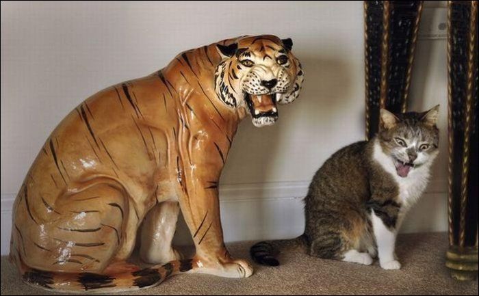 At the Right Moment. Part 15 (31 pics)