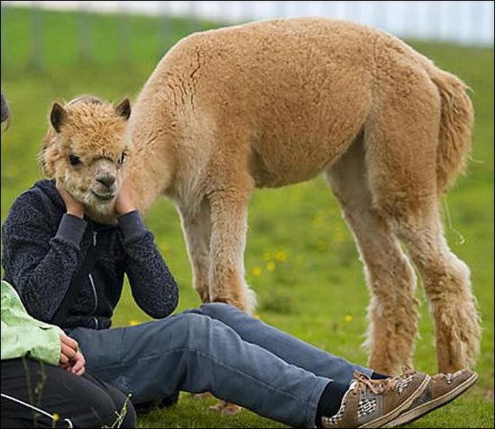 At the Right Moment. Part 15 (31 pics)