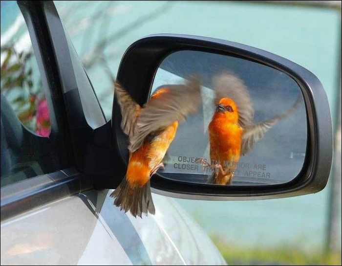 At the Right Moment. Part 15 (31 pics)