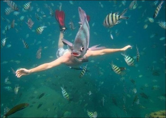 At the Right Moment. Part 15 (31 pics)