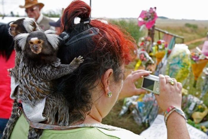 Acid Picdump (121 pics)