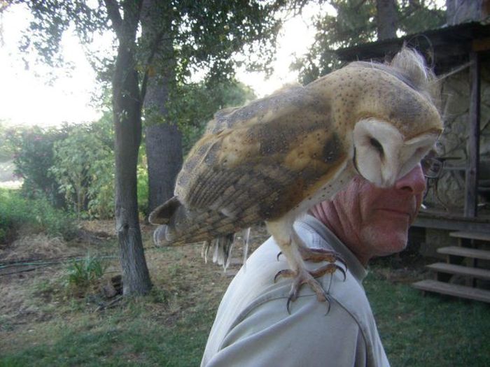 Acid Picdump (121 pics)