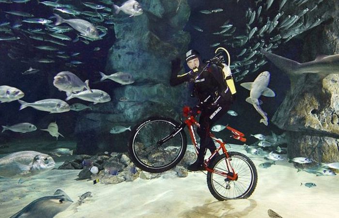 Acid Picdump (121 pics)
