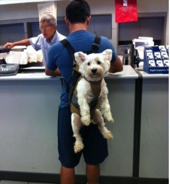 Acid Picdump (121 pics)
