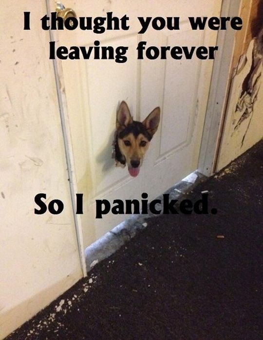 Acid Picdump (121 pics)