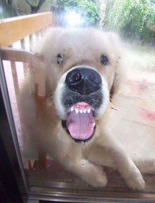 Acid Picdump (121 pics)