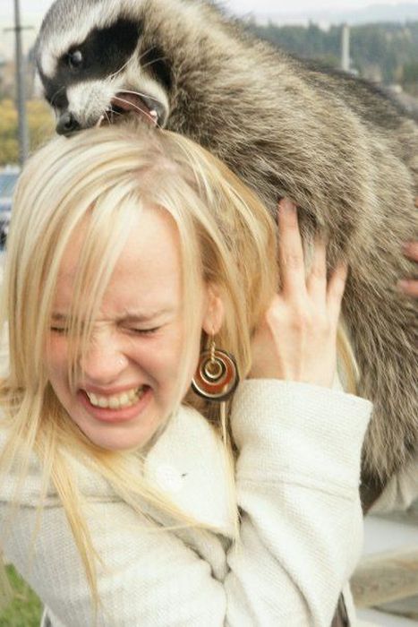 Acid Picdump (121 pics)
