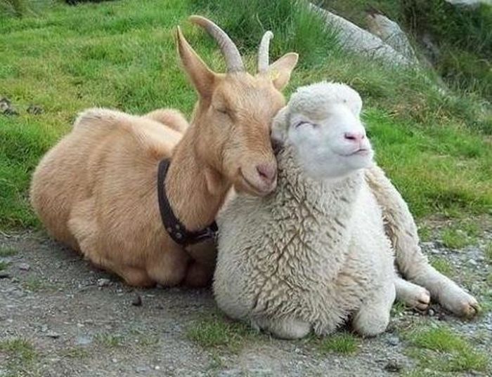 Acid Picdump (121 pics)