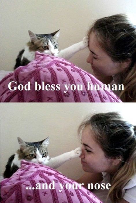 Acid Picdump (121 pics)