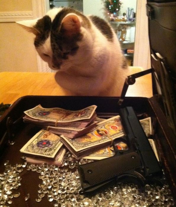 Cats and Cash (64 pics)