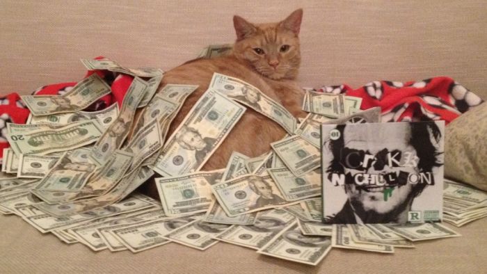 Cats and Cash (64 pics)