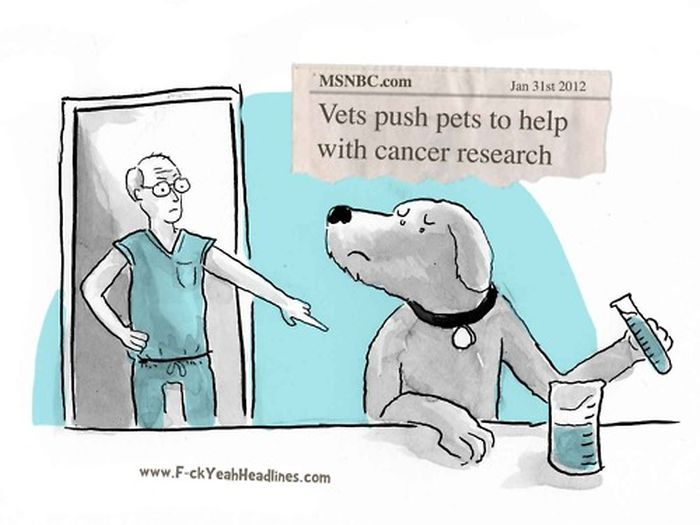 Illustrated Headlines. Part 2 (50 pics)