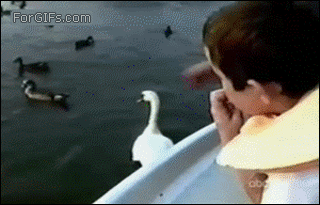Acid Gifdump (15 gifs)