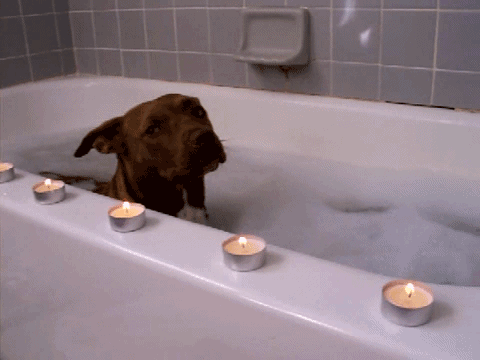 Acid Gifdump (15 gifs)