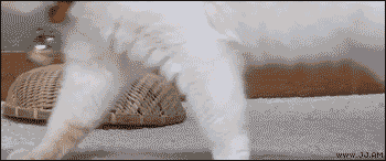 Acid Gifdump (15 gifs)