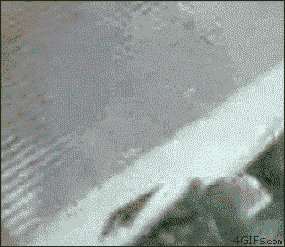 Acid Gifdump (15 gifs)