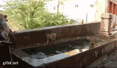 Acid Gifdump (15 gifs)