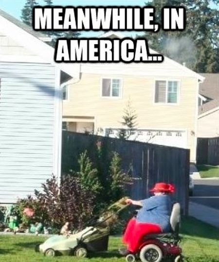 The Best of "Meanwhile, In America" (45 pics)